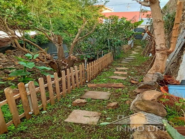 VENTA-ICOD DE LOS VINOS photo 0