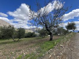 Terreno con casi 40.000 m² en venta en Ríogordo, Málaga photo 0
