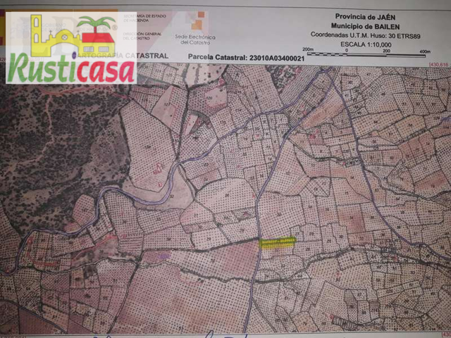 Olivar con 34 matas. photo 0