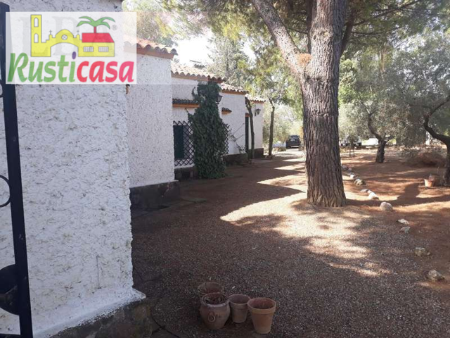 Finca de olivar con casa. photo 0