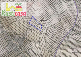 Venta de olivas cerca de Bailen. photo 0