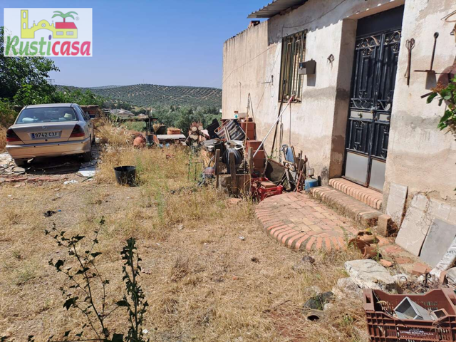 Parcela con casita. photo 0