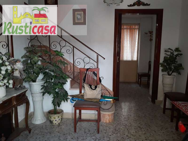 Dúplex en las palmeras. photo 0