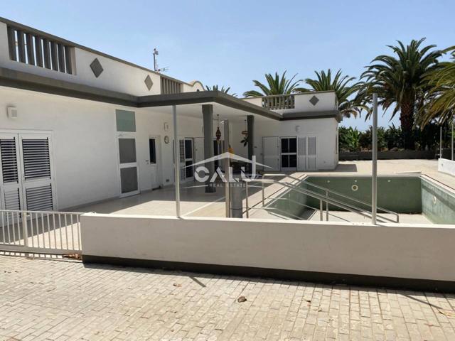 FINCA ECOLOGICA EN LOS LLANOS DE GUAZA photo 0