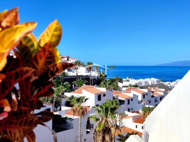 SAN EUGENIO ALTO - 'HOLIDAY VALLEY' photo 0