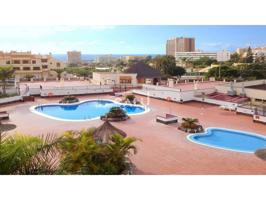 LOS CRISTIANOS - 'EL MIRADOR' photo 0