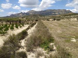 Agrícola En venta en Latour-De-Carol, Petrer photo 0