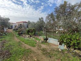 TERRENO EN VENTA ZONA VENTA EL CEPO photo 0