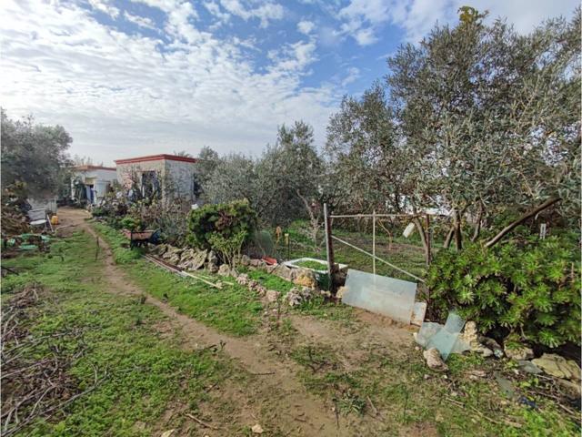 TERRENO EN VENTA ZONA VENTA EL CEPO photo 0