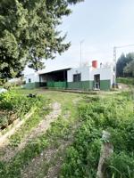 Finca urbana con vivienda en Puerto Parada, Alcalá de los Gazules photo 0