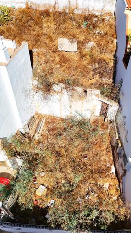 Agrícola En venta en Ayamonte photo 0