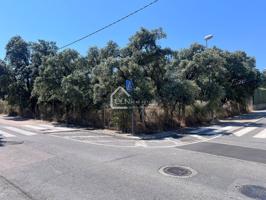 Parcela en Esquina en Zona Residencial – ¡Ideal para Construir la Casa de Tus Sueños! photo 0