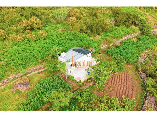 Terreno rústico en La Orotava photo 0