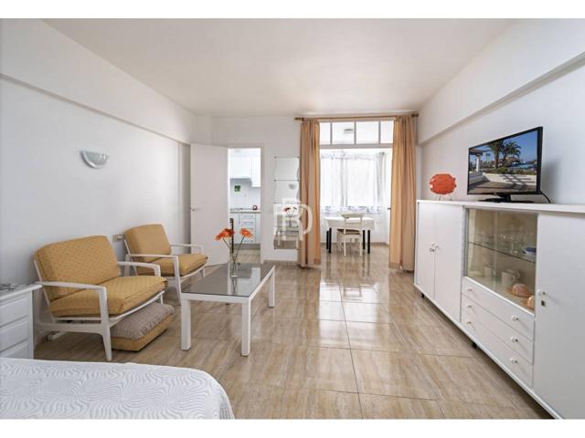 MARAVILLOSO ESTUDIO EN PUERTO DE LA CRUZ photo 0