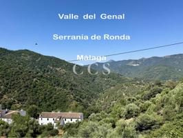 Finca Rústica La Molineta, en Valle del Genal, Jubrique, Serranía de Ronda, Málaga photo 0