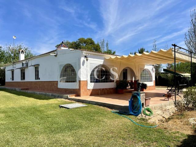 Magnífica casa de campo, con boxes, piscina, olivar… en Utrera, Sevilla photo 0