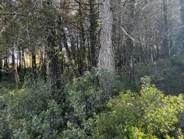Terreno en venta en Olesa de Bonesvalls photo 0