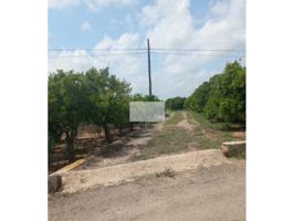 VENDE FINCA RÚSTICA EN SUELO URBANIZABLE SECTORIZADO photo 0