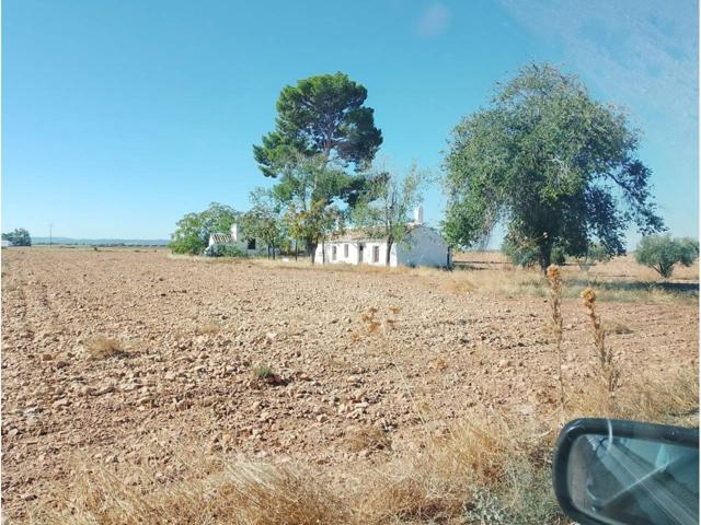 Buena finca de regadío con acceso por camino asfaltado photo 0