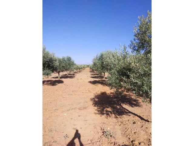 Venta de finca rústica en La Solana photo 0
