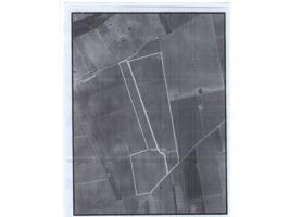 Finca en termino de Arenas de San Juan photo 0