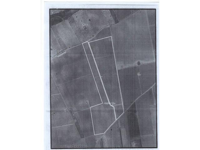 Finca en termino de Arenas de San Juan photo 0