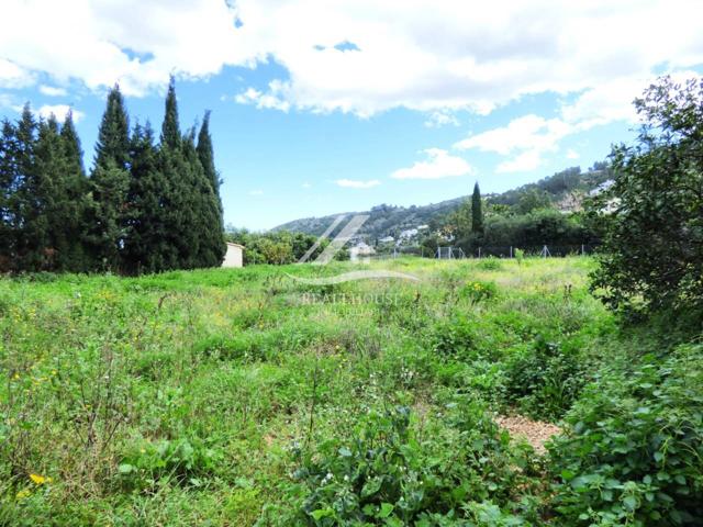 TERRENO CON MUCHO POTENCIAL A UN PASO DE SAGRA photo 0