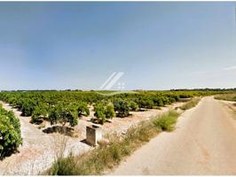 TERRENO EN PLENO CULTIVO ENTRE VERGEL Y DENIA photo 0