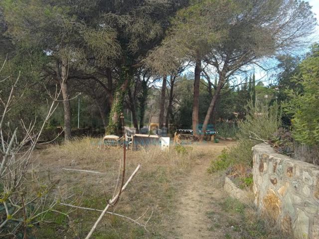 Granja En venta en Mas Romeu Residencial, Lloret De Mar photo 0