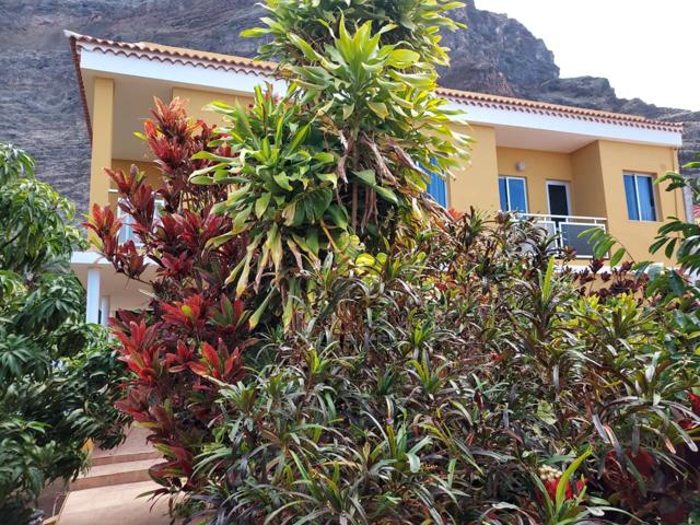 Se vende en Valle Gran Rey la Gomera,vivienda de 208m2, con dos apartamentos y parcela urbana 408m2 photo 0