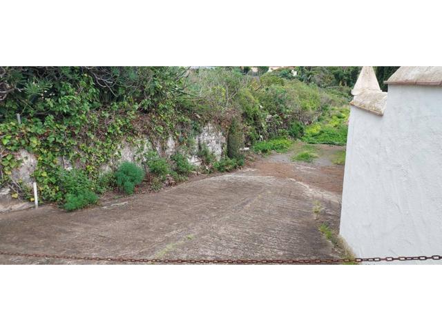 Se VENDE TERRENO RUSTICO de 2000m2, en LA MATANZA de ACENTEJO photo 0