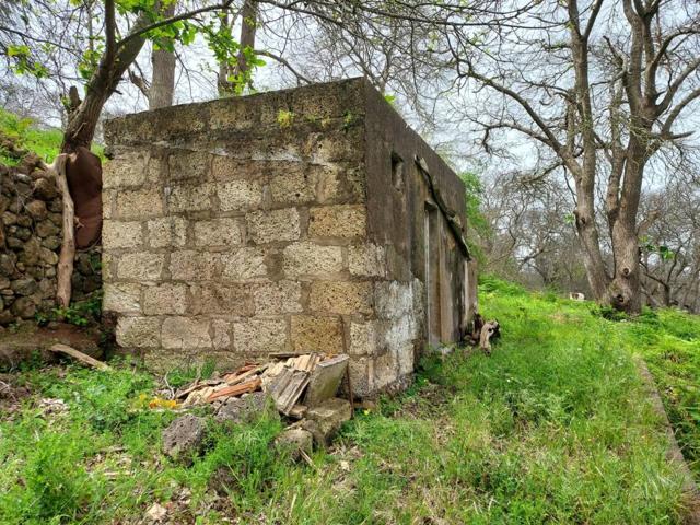 Se Vende FINCA RUSTICA en LOS NATEROS LA MATANZA DE ACENTEJO de 2500m2 con CUARTO DE APEROS 35m2 photo 0