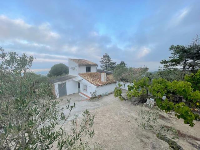 Finca Rustica con vistas a las montañas photo 0