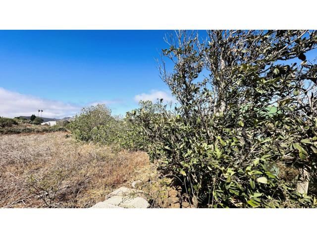 Terreno en venta en Guamasa-Los Baldíos-Los Rodeos-El Ortigal(38296) photo 0