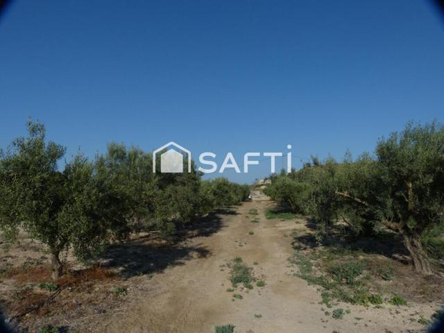 Oportunidad ! Terreno en venta, Fortuna Murcia. photo 0
