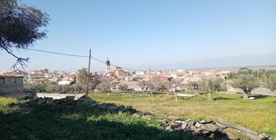 Terreno rústico con una superficie de 6.385 m2 en Lagartera. photo 0
