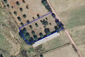 Olivar de 2.925 m² photo 0