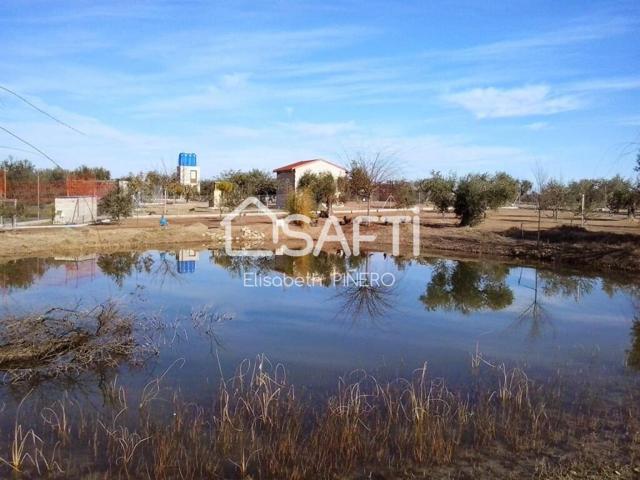 Disfruta de ésta maravilla ! CAMPO CON OLIVOS, CASITA Y CHARCA. photo 0