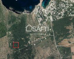 Parcela Rustica de 15000 m2 en Cala Morell photo 0