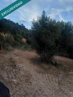 Terreno rustico cerca del pueblo photo 0