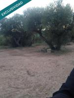 Terreno rustico cerca del pueblo photo 0