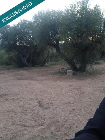 Terreno rustico cerca del pueblo photo 0