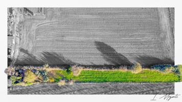Terreno de Cultivo en Venta en Cruïlles, Baix Empordà photo 0