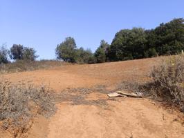 SE VENDE TERRENO ASENTAMIENTO RURAL EDIFICABLE EN LA ESPERANZA photo 0