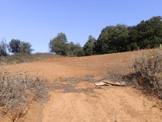 SE VENDE TERRENO ASENTAMIENTO RURAL EDIFICABLE EN LA ESPERANZA photo 0