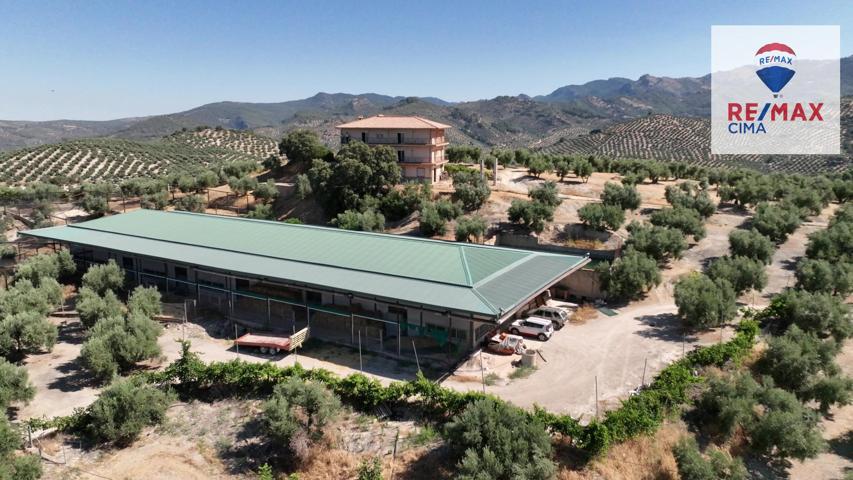FINCAS EN CAZORLA photo 0