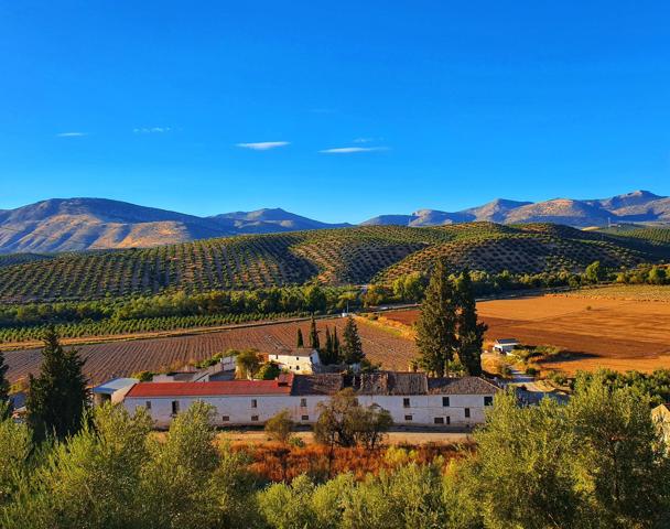 EXCEPTIONAL ESTATE IN GRANADA photo 0