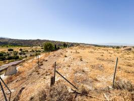 SE VENDE SOLAR EN LOS OLIVOS, CASTILLÉJAR (GRANADA) photo 0