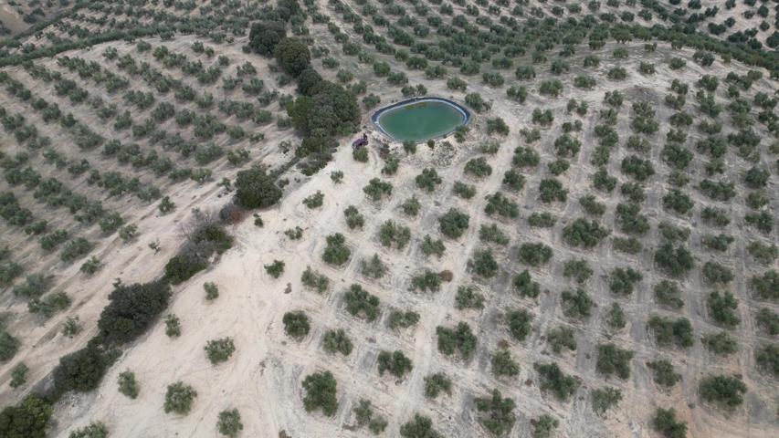 FINCA 60 ha DE OLIVOS DE REGADIO EN IZNALLOZ GRANADA photo 0