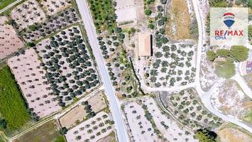 SE VENDE FINCA DE OLIVOS Y CASA EN CONSTRUCCIÓN EN CASTILLÉJAR photo 0